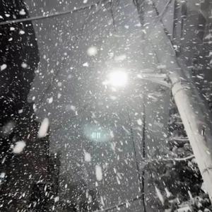 哪里有刘亦菲被操的一级黄片视频
